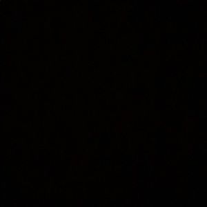 Meet your Posher, Gracyn